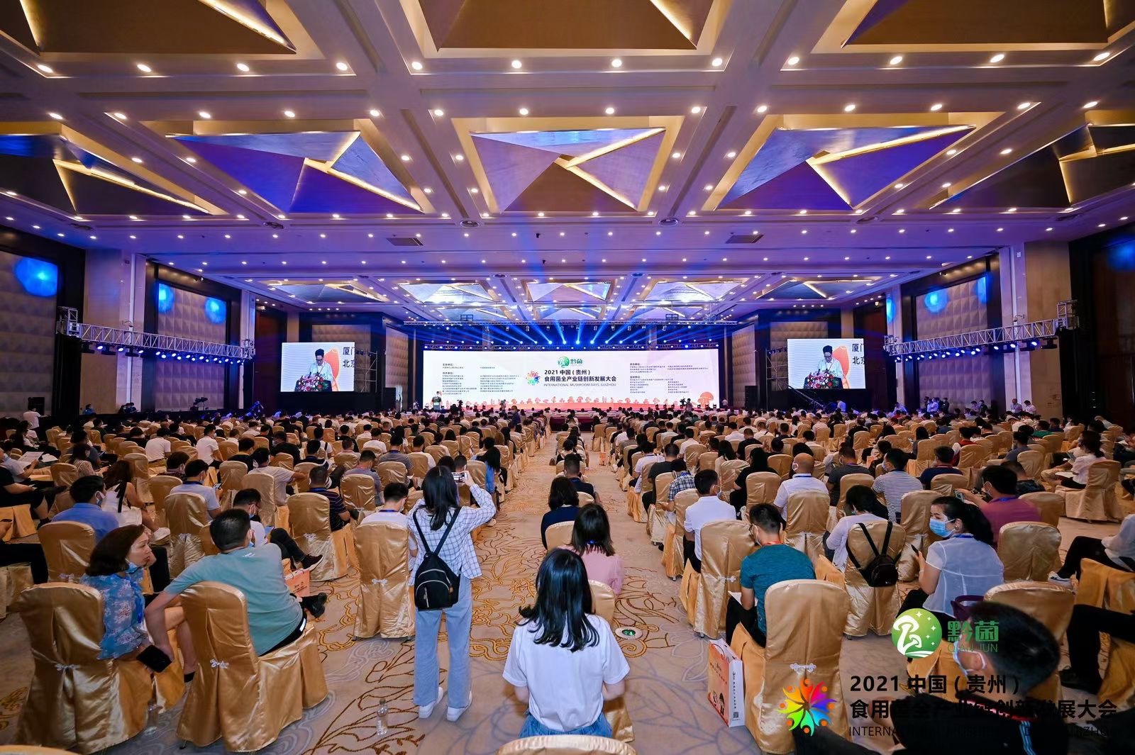 2020йݣʳþȫҵ·չ